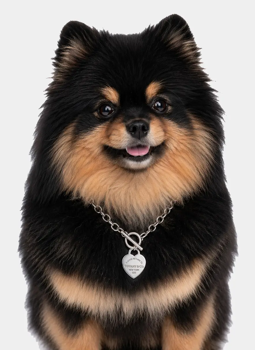 Pets Empire
